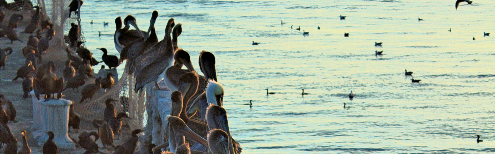 Romantic Things To Do In Aptos