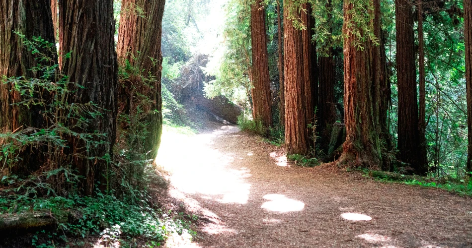 Experience the Best of Aptos: 10 Must-Do Activities