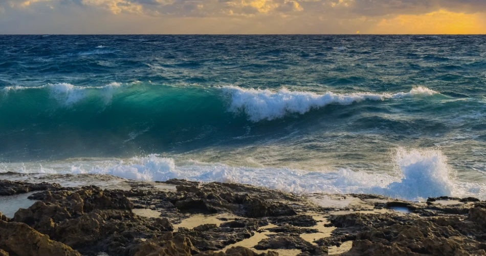 Experience the Best of Aptos: 10 Must-Do Activities