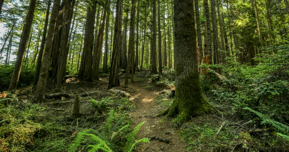 Experience the Best of Aptos: 10 Must-Do Activities