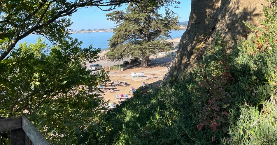 Can’t-Miss Outdoor Attractions in Aptos, CA