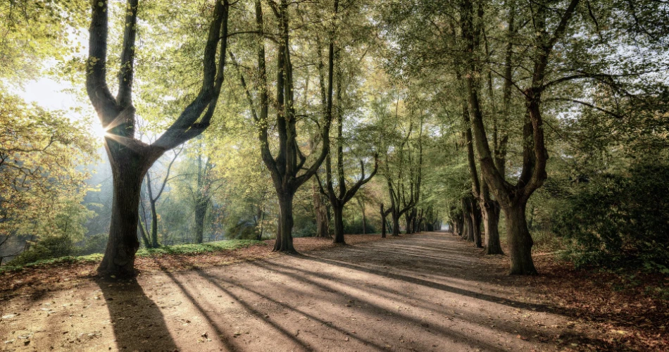 Can’t-Miss Outdoor Attractions in Aptos, CA