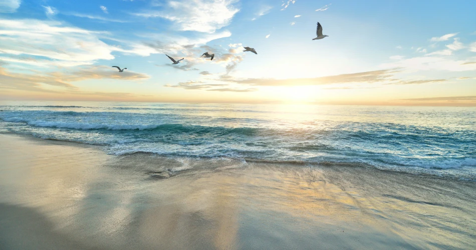 An Insider Guide to the Best Beaches in Aptos, California