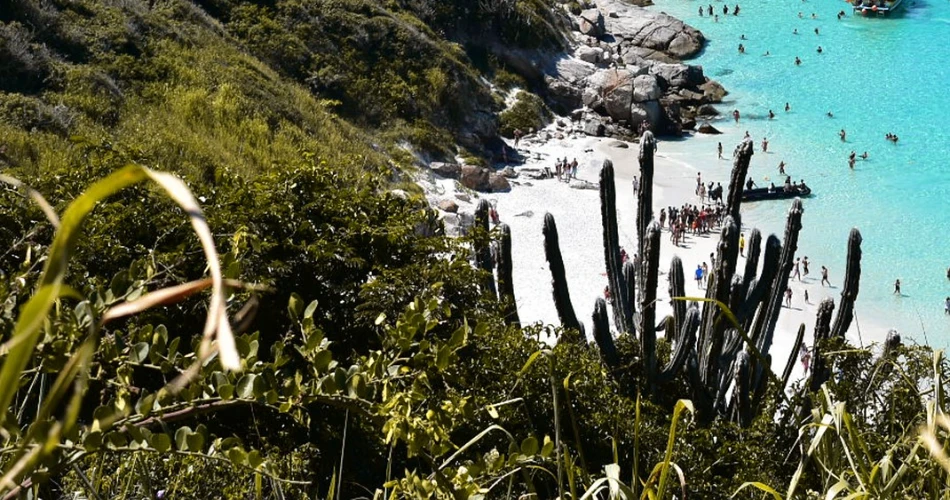 An Insider Guide to the Best Beaches in Aptos, California